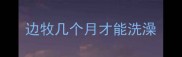 边牧几个月才能洗澡