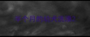 半个月的幼犬洗澡