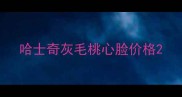 哈士奇灰毛桃心脸价格