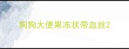 狗狗大便果冻状带血丝