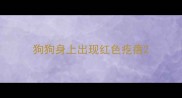 狗狗身上出现红色疙瘩