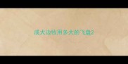 成犬边牧用多大的飞盘