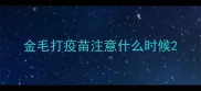 金毛打疫苗注意什么时候
