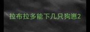 拉布拉多能下几只狗崽
