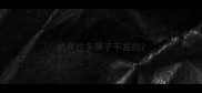 拉布拉多鼻子干发白