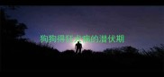 狗狗得狂犬病的潜伏期