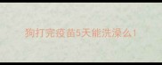 狗打完疫苗5天能洗澡么
