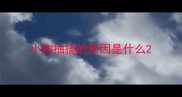 小狗抽搐的原因是什么