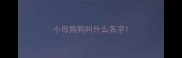 小母狗狗叫什么名字