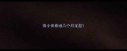 微小体泰迪几个月定型