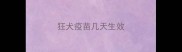 狂犬疫苗几天生效