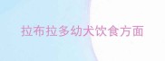 拉布拉多幼犬饮食方面