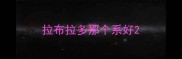 拉布拉多那个系好