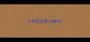 小狗疫苗要冷藏吗