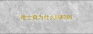 哈士奇为什么呜呜叫