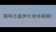 猫咪总是伸长身体躺着