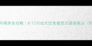 边牧8个月喂养全攻略8-12月幼犬饮食量禁忌健康要点附食谱