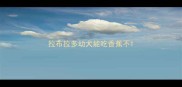 拉布拉多幼犬能吃香蕉不