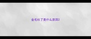 金毛吐了是什么原因