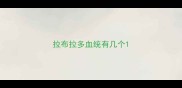 拉布拉多血统有几个