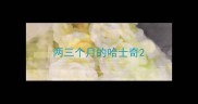 两三个月的哈士奇