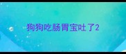 狗狗吃肠胃宝吐了