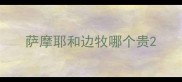 萨摩耶和边牧哪个贵