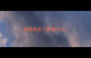 宠物疫苗八联是什么