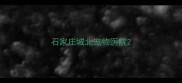 石家庄城北宠物医院