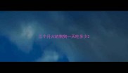 三个月大的狗狗一天吃多少