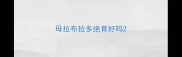 母拉布拉多绝育好吗