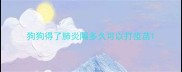 狗狗得了肺炎隔多久可以打疫苗