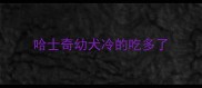 哈士奇幼犬冷的吃多了