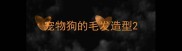宠物狗的毛发造型