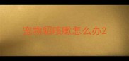 宠物貂咳嗽怎么办