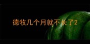 德牧几个月就不长了
