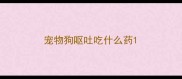 宠物狗呕吐吃什么药