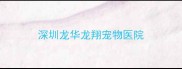 深圳龙华龙翔宠物医院