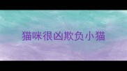 猫咪很凶欺负小猫