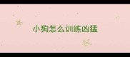 小狗怎么训练凶猛