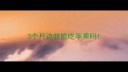 3个月边牧能吃苹果吗