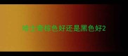 哈士奇棕色好还是黑色好