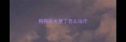 狗狗尿失禁了怎么治疗