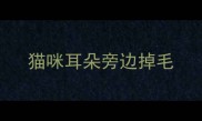 猫咪耳朵旁边掉毛