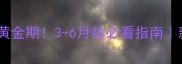 哈士奇幼犬训练黄金期3-6月龄必看指南新手养宠避坑攻略
