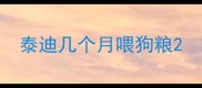 泰迪几个月喂狗粮