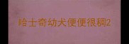 哈士奇幼犬便便很稠