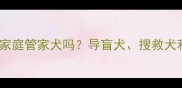 拉布拉多能当家庭管家犬吗导盲犬搜救犬和看家护院全