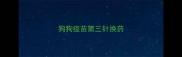 狗狗疫苗第三针换药