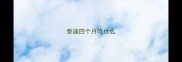 泰迪四个月吃什么